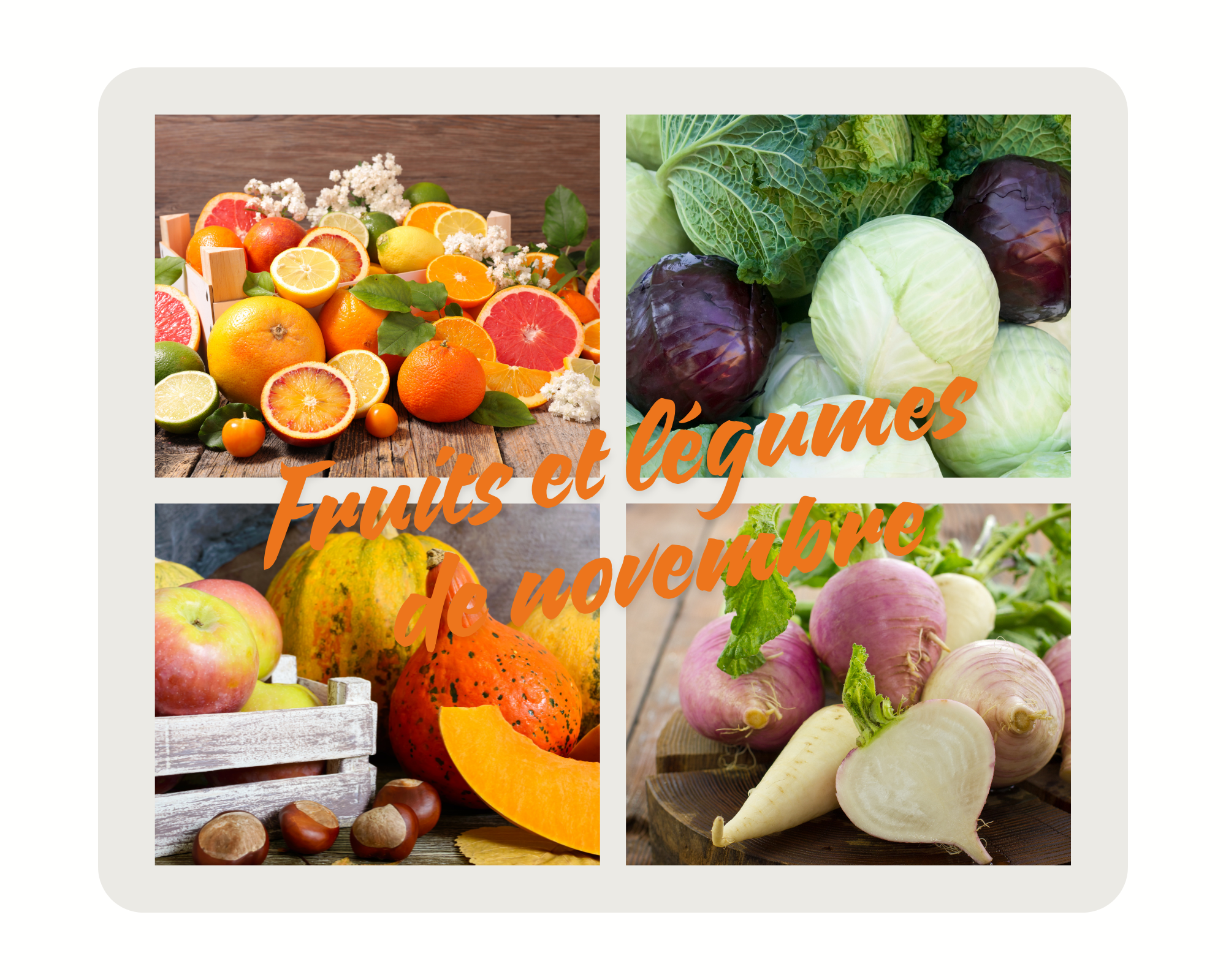 Les fruits et légumes du mois